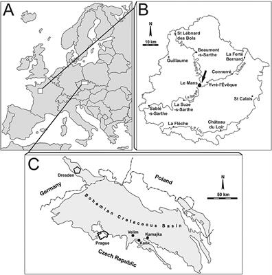 Domichnial Borings in Serpulid Tube Walls: Prosperous Benthic Assemblages in the Cretaceous of France and the Czech Republic